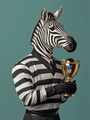 Referee